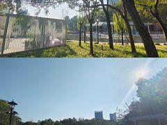 -中山公园