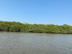 -东寨港红树林旅游区