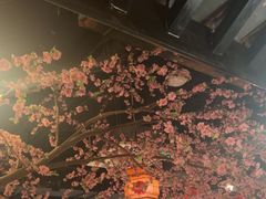 -卢大鲜鱼头捞饭(美利广场店)