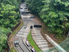 -圣淘沙天际线斜坡滑车