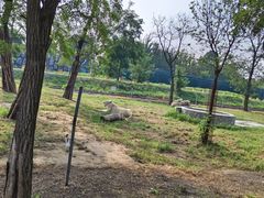 -秦皇岛野生动物园