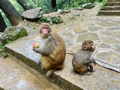 -黔灵山公园