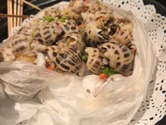 -鸽鸟轩(石岐店)