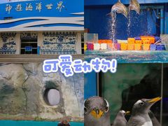 -威海华夏城景区