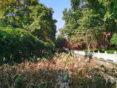 -丝绸小镇荻港古村