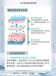 -玛莲朵·海菲秀冰珀科