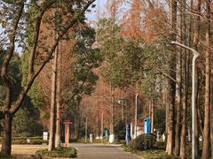 -昆山城市生态森林公园