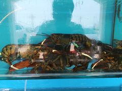 -港畔赶海蒸汽海鲜烧烤自助(仙螺岛店)