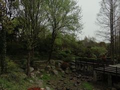 -宝界山林公园
