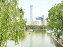 -团结湖公园