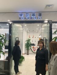 -华卫思理轻奢造型