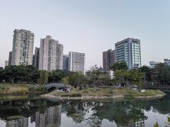 -四海公园(南山区)