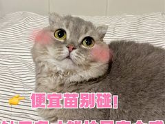 -虹泰宠物医院 ·旗舰店·24h(南秀路店)