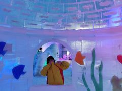 -世界之窗阿尔卑斯冰雪世界