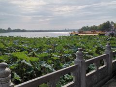 -中国翰园碑林