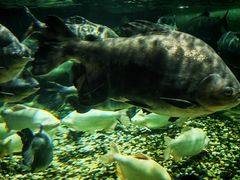 -成都浩海立方海洋公园