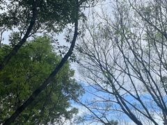 -番禺大夫山森林公园