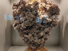 -甘肃地质博物馆