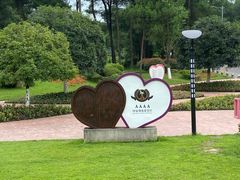 -铁山坪森林公园