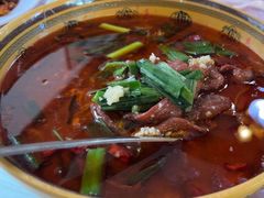 -绿野餐厅(上海动物园店)