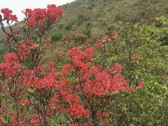 -广东天露山旅游度假区