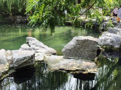 -趵突泉景区