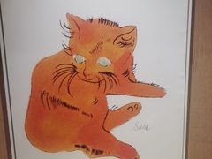 -MOCHA明星猫咖(田子坊店)