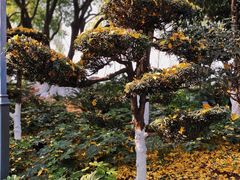 -杜甫江阁