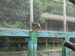 -西安秦岭野生动物园