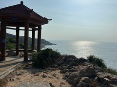 -广东惠东海龟国家级自然保护区