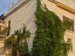 -华谊兄弟（长沙）电影小镇