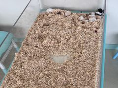 -怪兽屋·羊驼·猫咖·狗咖(俊华广场店)