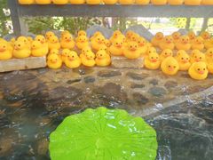 -湖泉半山温泉(湖泉生态园)