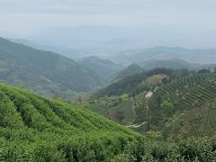 -杨家堂村