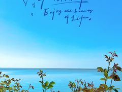 -贡湖湾湿地公园