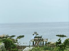 -养马岛旅游度假区