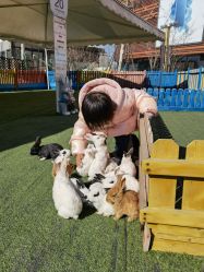 -萌宠亲子动物乐园(槐房万达店)