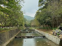 -广州白江湖森林公园