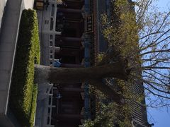 -天津妈祖文化园