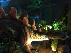 -恐龙探索乐园(磁器口店)