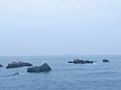 -小麦岛公园