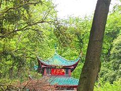 -养心阁足道馆(火宫殿一店)