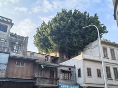 -汕头市小公园