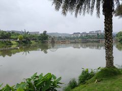 -枫香湖儿童公园