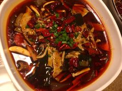 渝信毛血旺-渝信川菜(西单店)