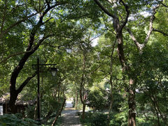 -吴山景区