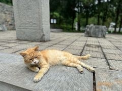 -四门塔风景区