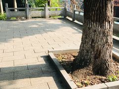 -长沙市青少年宫