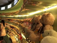 -成都泰迪熊博物馆