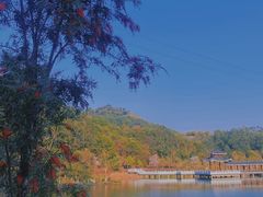 -黄埔油麻山森林公园